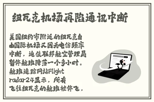 菠萝菠萝蜜免费视频高清观看播放